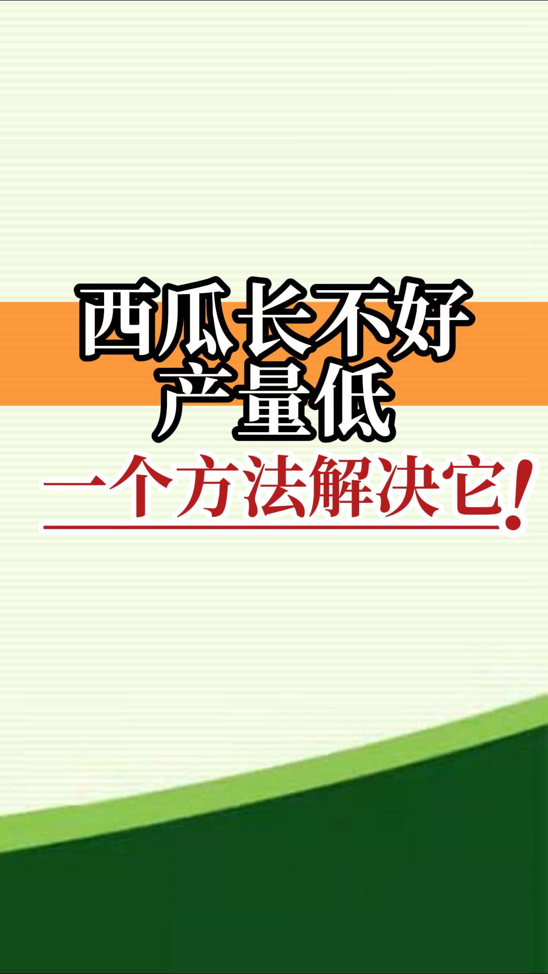 西瓜長不好產(chǎn)量低？