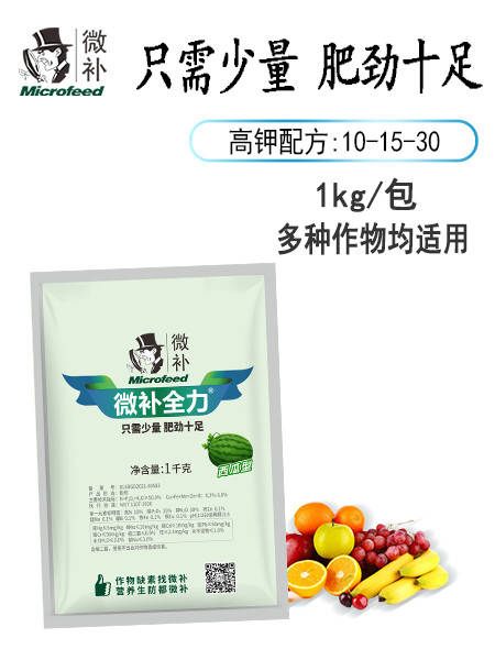 微補全力（西瓜型）