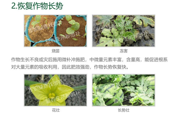 微補(bǔ)沖施肥