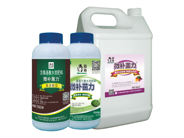 讓作物安全過(guò)冬的實(shí)用小妙招，速看