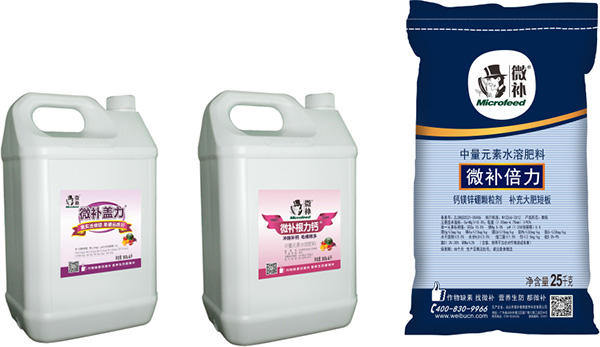 讓作物安全過冬的實(shí)用小妙招，速看