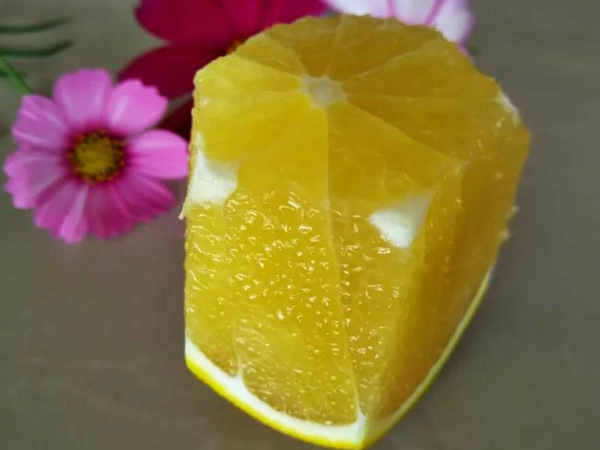 震驚！施秋肥還會(huì)影響果實(shí)賣價(jià)？