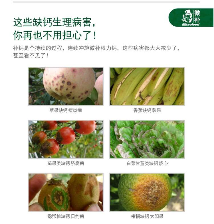 微補(bǔ)根力鈣