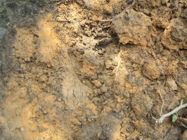 微補三級火箭方案有如此神奇功效？