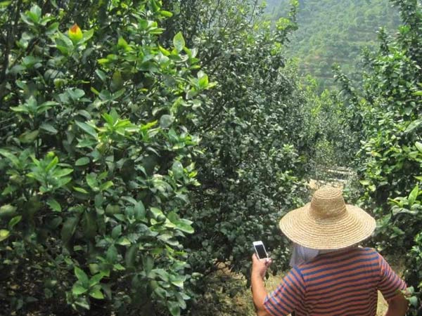 微補三級火箭方案有如此神奇功效？