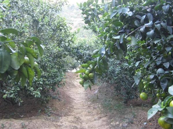 微補三級火箭方案有如此神奇功效？