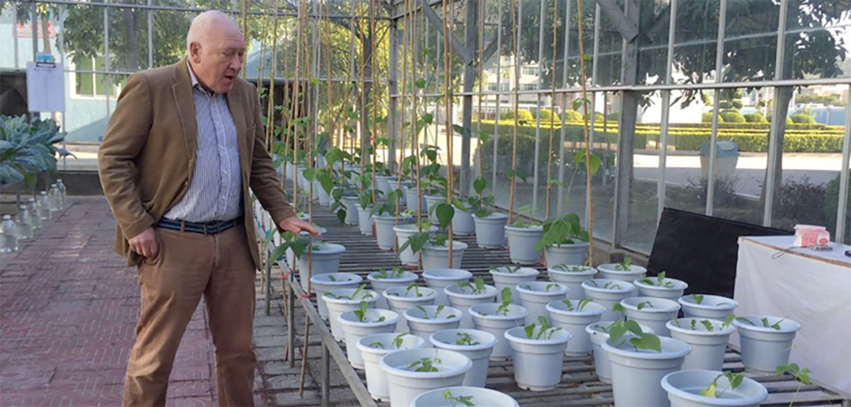 微補(bǔ)研發(fā)中心