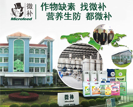 微補(bǔ)研發(fā)中心