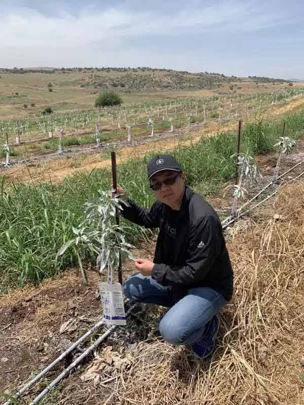 深度思考：我們到底應(yīng)該向以色列農(nóng)業(yè)學(xué)習(xí)什么？