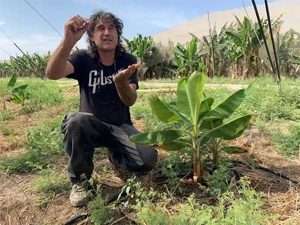 深度思考：我們到底應(yīng)該向以色列農(nóng)業(yè)學(xué)習(xí)什么？